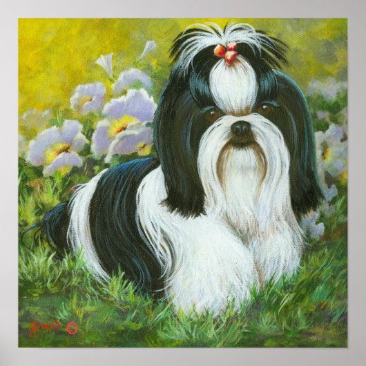 Shih Tzu Art Print op Canvas (Voorkant)