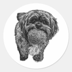 Shih Tzu & Balle Autocollant d'art de chien joue