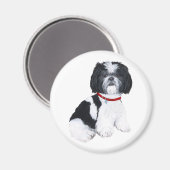 Shih Tzu Black & White Magneet (Voorkant / Achterkant)