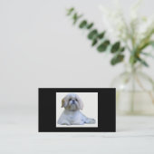 Shih Tzu Breeder Visitekaartje (Staand voorkant)