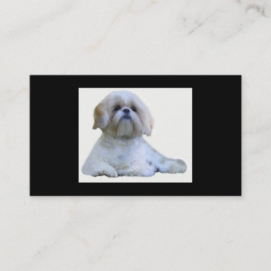 Shih Tzu Breeder Visitekaartje (Voorkant)