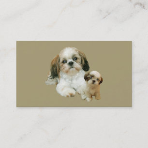 Shih Tzu Breeder Visitekaartje