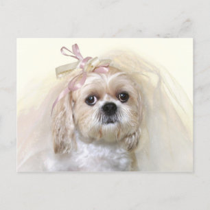 Shih Tzu Bride Briefkaart