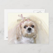 Shih Tzu Bride Briefkaart (Voorkant / Achterkant)