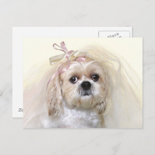 Shih Tzu Bride Briefkaart (Voorkant / Achterkant)