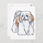 Shih Tzu Briefkaart (Voorkant / Achterkant)