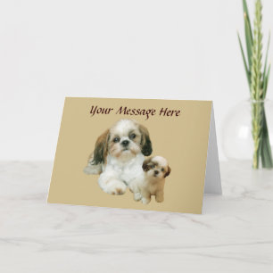 Shih Tzu Buddies-Wenskaart Kaart