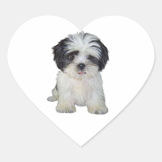 Shih Tzu (bw) - Puppy Hart Sticker (Voorkant)
