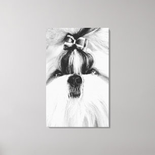 Shih Tzu Canvas Afdruk