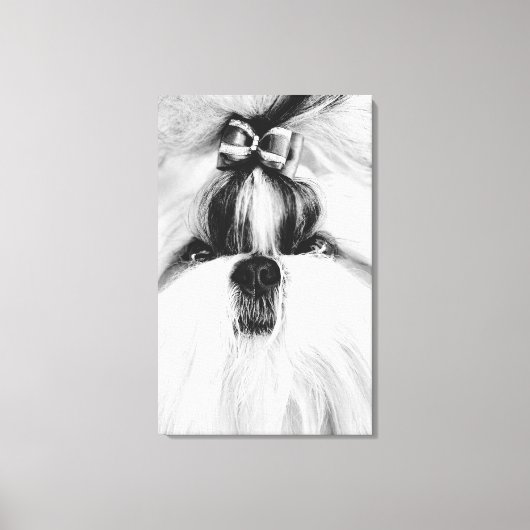 Shih Tzu Canvas Afdruk (Voorkant)