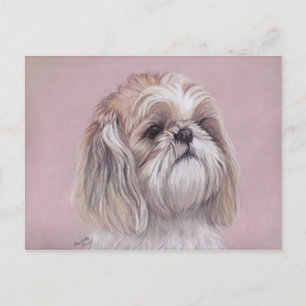 Shih tzu Dog Art Briefkaart