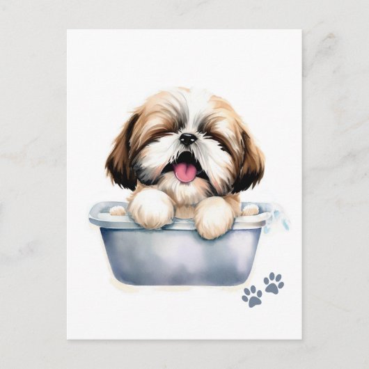 Shih Tzu Dog Briefkaart (Voorkant)
