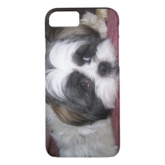 Shih Tzu Dog Case-Mate iPhone Case (Achterkant)