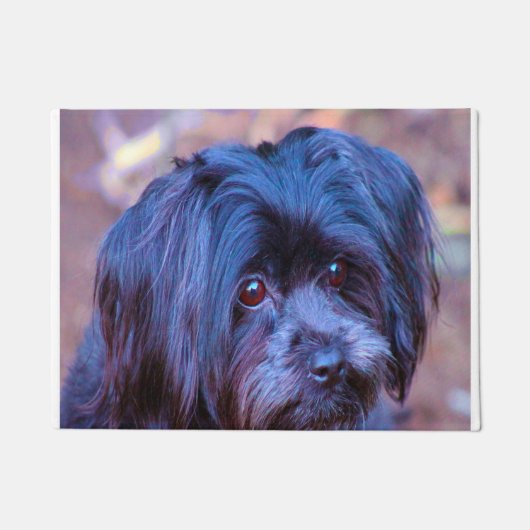 Shih Tzu Dog. Deurmat (Voorkant)
