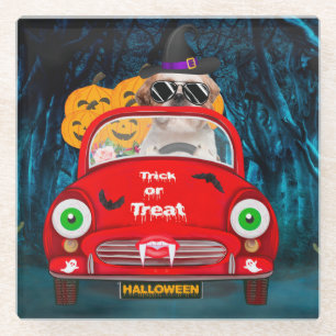 Shih Tzu Dog Driving Car Scary Halloween Glazen Onderzetter