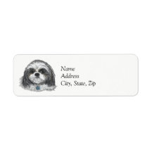 Shih Tzu Dog