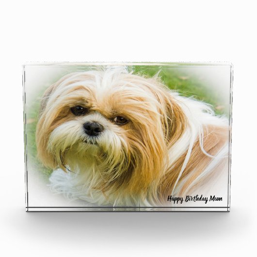 Shih Tzu Dog Fotoblokken (Voorkant)