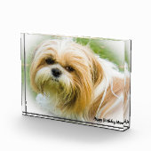 Shih Tzu Dog Fotoblokken (Rechts)