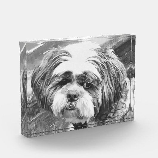 SHIH TZU DOG FOTOBLOKKEN (Links)