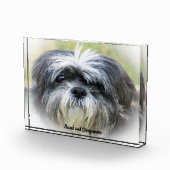 Shih Tzu Dog. Fotoblokken (Rechts)