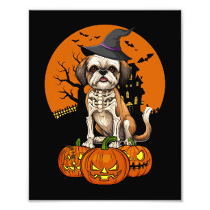 Shih Tzu Dog Halloween Foto Afdruk