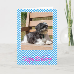 Shih Tzu Dog Happy Birthday Wenskaart Kaart