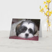 Shih Tzu Dog Kaart (Gele Bloem)