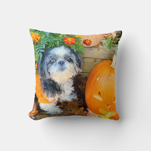 Shih Tzu Dog Large Accent Pillow Kussen (Voorkant)