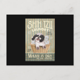 Shih Tzu Dog Laundry Cute Shih Tzu Life Puppy Tzu Briefkaart