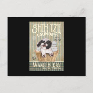 Shih Tzu Dog Laundry Cute Shih Tzu Life Puppy Tzu Briefkaart