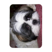 Shih Tzu Dog Magneet (Verticaal)