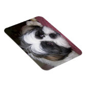 Shih Tzu Dog Magneet (Rechterzijde)