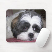 Shih Tzu Dog Muismat (Met muis)