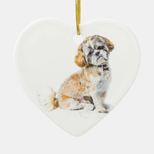 Shih Tzu Dog Ornament (Voorkant)