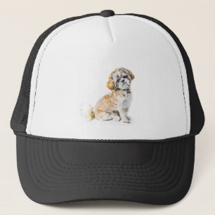 Shih Tzu Dog Pet