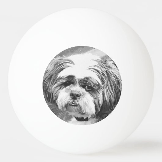 SHIH TZU DOG PINGPONGBALLEN (Voorkant)