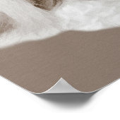 Shih Tzu Dog Portret Poster (Hoek)