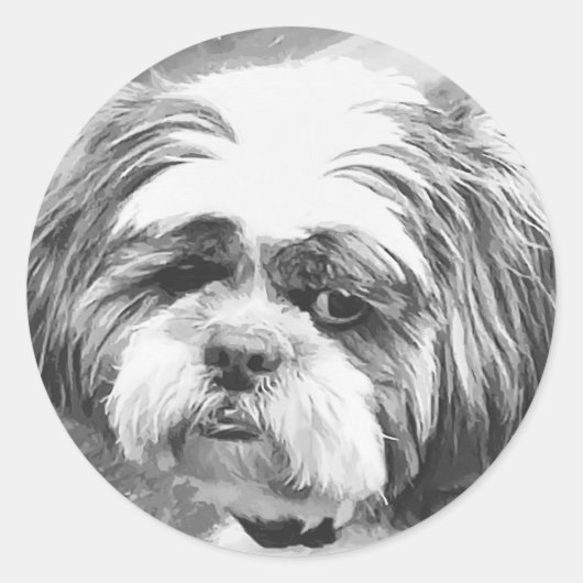 SHIH TZU DOG RONDE STICKER (Voorkant)