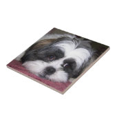 Shih Tzu Dog Tegeltje (Zijkant)