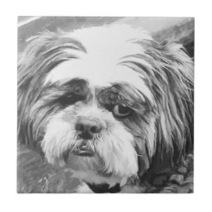 SHIH TZU DOG TEGELTJE