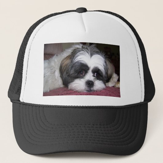 Shih Tzu Dog Trucker Pet (Voorkant)
