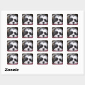 Shih Tzu Dog Vierkante Sticker (Vel)