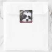 Shih Tzu Dog Vierkante Sticker (Tas)