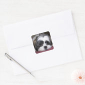 Shih Tzu Dog Vierkante Sticker (Envelop)