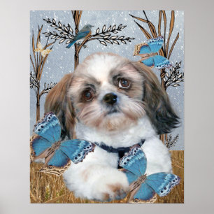 Shih Tzu en Butterflies Print