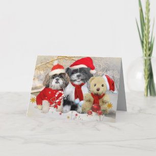 Shih Tzu et carte de Noël d'ours de nounours