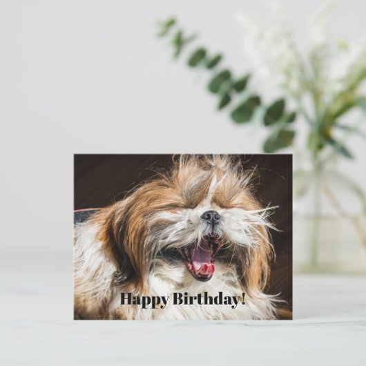 Shih tzu gaapt lachend grappig Gefeliciteerd met j Briefkaart (Staand voorkant)
