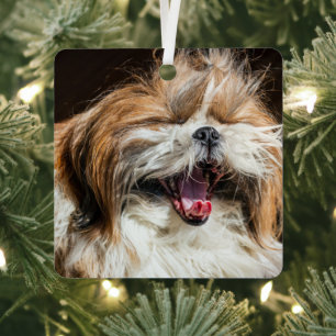 Shih tzu gaapt lachend grappig schattig metalen ornament
