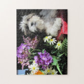 SHIH TZU... gazuntite. Legpuzzel (Verticaal)