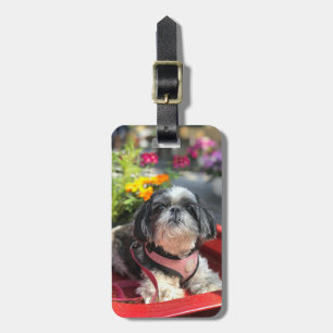 Shih Tzu Girl Bagagelabel